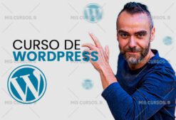 Curso de WordPress de Big Seo