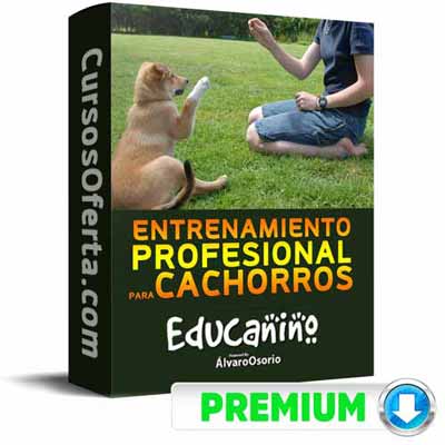 Curso Educanino – Álvaro Osorio 1 Curso Educanino – Álvaro Osorio curso educanino alvaro osorio 650d761943616