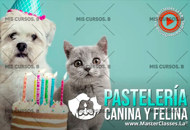 Pastelería Canina y Felina 1 Pastelería Canina y Felina pasteleria canina y felina 650d694e33a0e