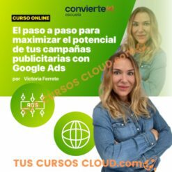 Domina Google Ads – Convierte Mas