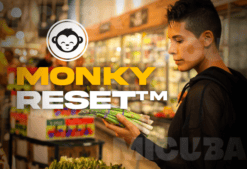 MonkyReset Transformación Integral 