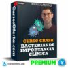 Curso Crash Bacterias de importancia clínica de Medilearners