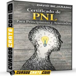 Certificado de PNL Para Principiantes y Avanzados de David Bejarano
