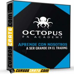Octopus FX Academy de Octopus FX